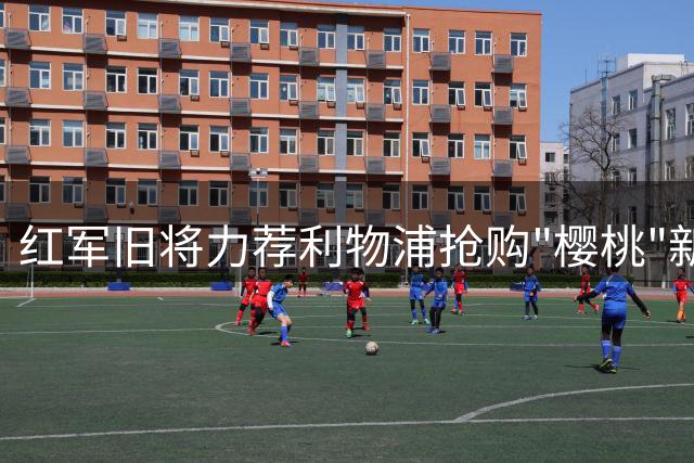 红军旧将力荐利物浦抢购"樱桃"新星 中场补强刻不容缓